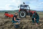 Žáci z oboru zemědělec-farmář českolipského středního odborného učiliště sklízí úrodu brambor na poli, které škola obhospodařuje ve Staré Lípě