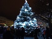 Rozsvícení vánočního stromu v České Lípě se povedlo.