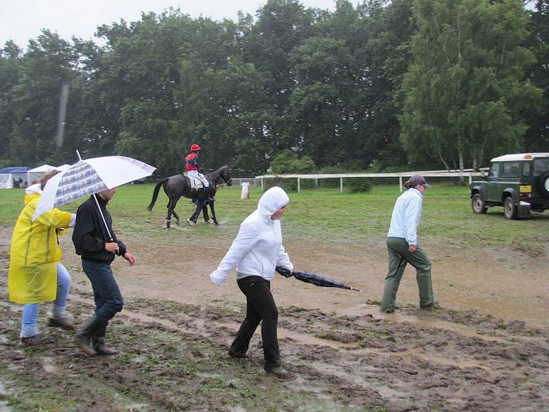 Sobotní dostihy na mimoňském závodišti. 