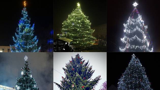 Hledáme nejkrásnější vánoční strom roku 2022 na Českolipsku