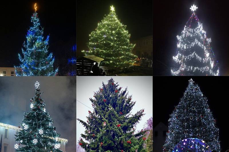 Hledáme nejkrásnější vánoční strom roku 2022 na Českolipsku