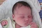 Mamince Nikoletě Gurské z Kytlic se v pondělí 26. května ve 21:46 hodin narodila dcera Adéla Černohorská. Měřila 51 cm a vážila 3,45 kg.