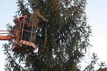Vánoční strom v České Lípě bylo po pádu nutné nejen zvednout, ale i znovu ozdobit. 