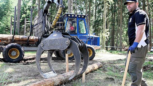 Nejlepší dřevorubci z Čech a Slovenska soutěžili o pohár VLS v rámci na mistrovství ČR v práci s motorovou pilou. Lidé mohli například shlédnout výstavu loveckých trofejí, sokolníky, lovecké psy, nejmodernější lesnickou techniku nebo odhoz vody z letadla.