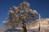 Zimní příroda v okolí Polevska. 