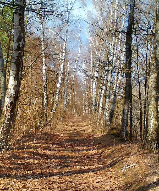 Šibeničák a Čepelský rybník.