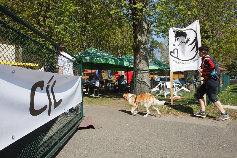 Ve Stráži pod Ralskem se konal orientační pochod se psy - Strážský dogtrek. Na trasu dlouhou 12 km se přihlásilo na dvě stovky účastníků.