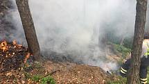 Požár lesního porostu v těžkém terénu ve svahu u obce Dubá - Korce.