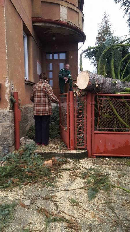 Strom se zřítil na plot jednoho z rodinných domů v Mimoni.