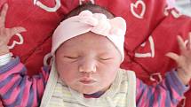 Rodičům Pavlíně Kosové a Davidu Mizerovi ze Zákup se v pondělí 9. května ve 4:09 hodin narodila dcera Adélka Mizerová. Měřila 49 cm a vážila 3,28 kg.