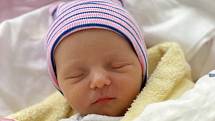 Mamince Pavle Staré se v pondělí 7. února v 5:06 hodin narodila dcera Jasmínka Volencová. Měřila 49 cm.