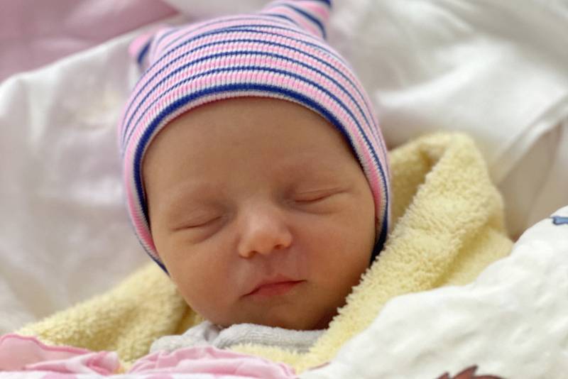 Mamince Pavle Staré se v pondělí 7. února v 5:06 hodin narodila dcera Jasmínka Volencová. Měřila 49 cm.