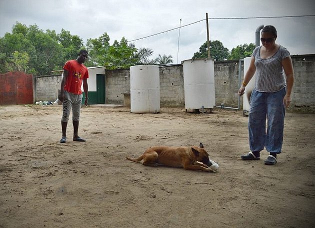 Cvičitelka psů Hana Böhme z Nového Boru připravuje své čtyřnohé svěřence k boji proti pytlákům v Africe.