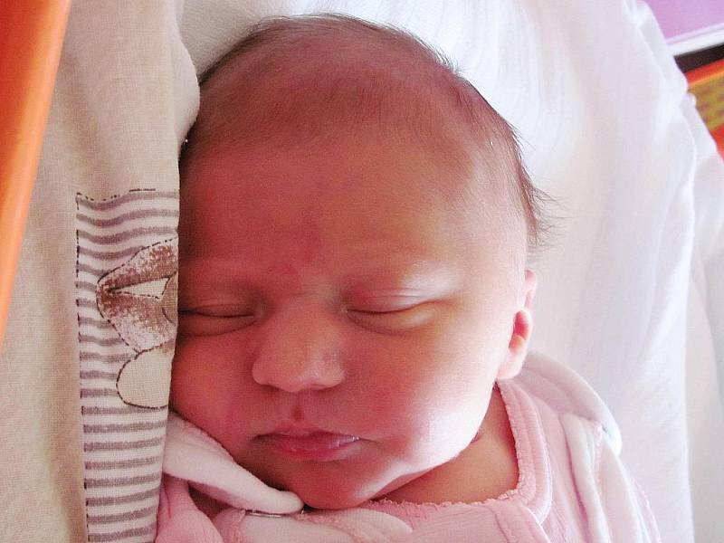 Mamince Monice Vicanové z Nového Boru se 24. ledna v 0:33 hodin narodila dcera Nella Kyselovská. Měřila 48 cm a vážila 3 kg.