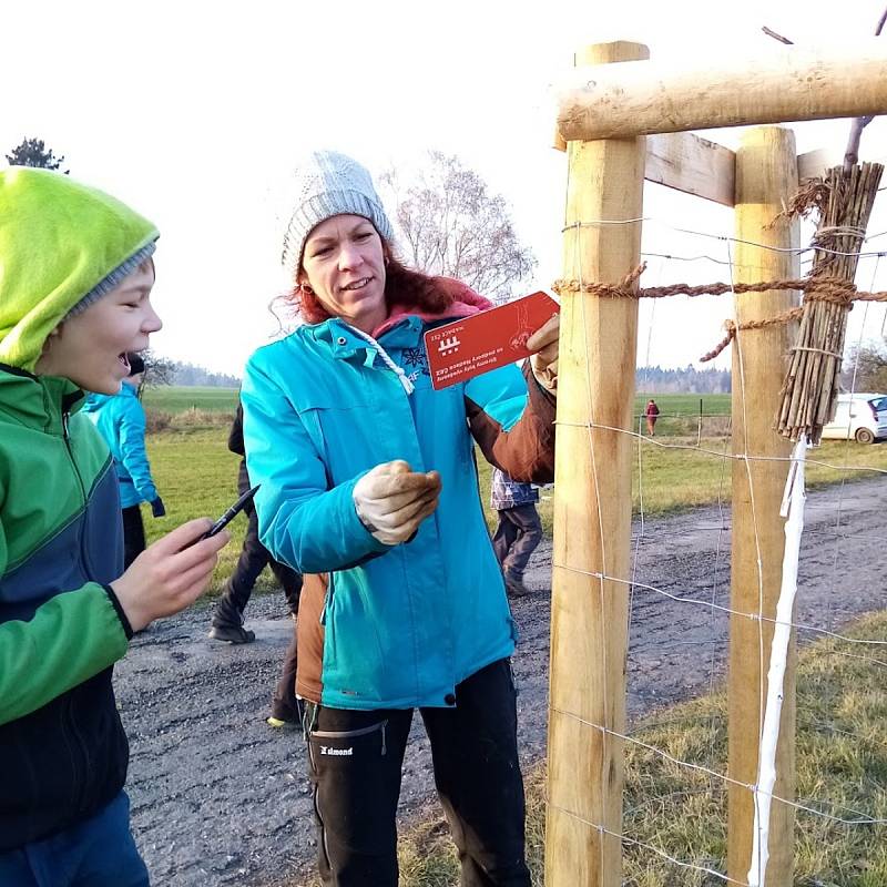 První Alej vzpomínek vysazovali lidé z Geoparku Ralsko u zaniklé vsi Dolní Novina.