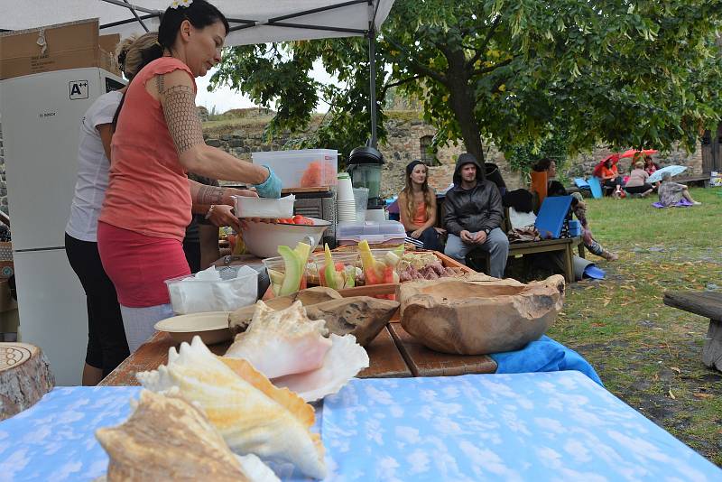 Vyznavači a příznivci oblíbeného cvičení, technik dýchání i meditace měli svůj den v areálu Vodního hradu Lipý v České Lípě.