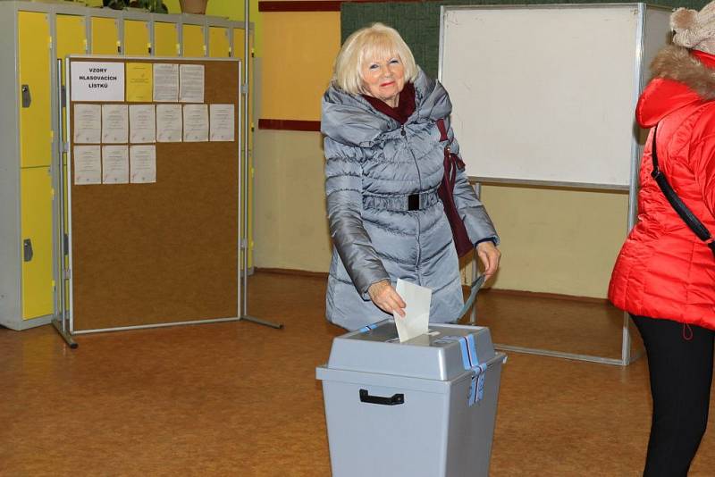 Prezidentské volby 2018, Stráž pod Ralskem.