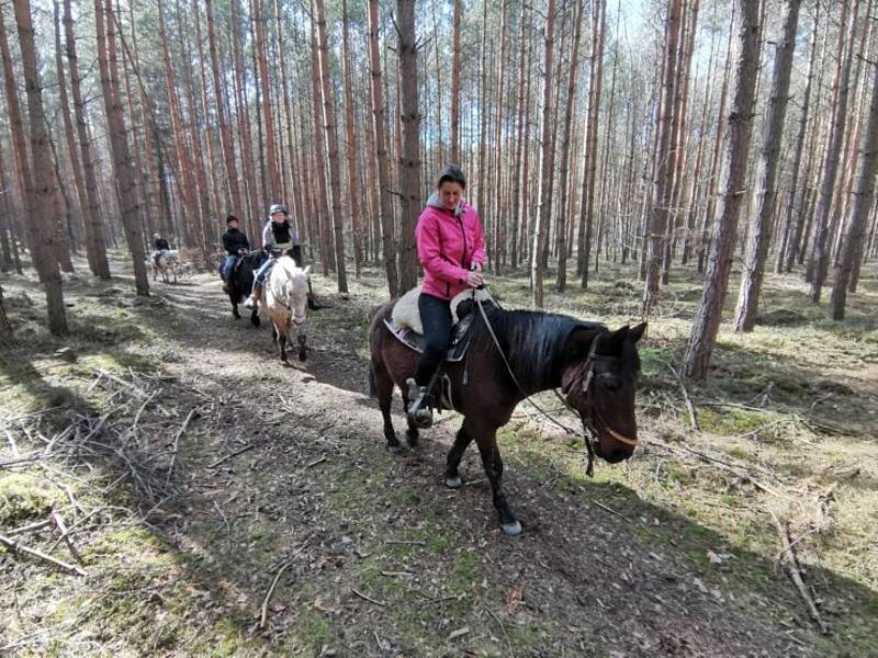 Ranč Angel. Alena Průchová se stará o osm koní. Před nouzovým stavem a pandemií pořádala oblíbené příměstské tábory ve Svojkově.Archivní foto Aleny Průchové