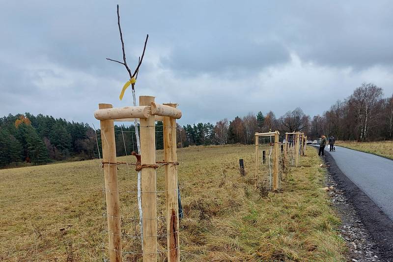 Prakticky ve stejném čase a za stejného počasí jako vloni se opět po roce pustili zaměstnanci Národního Geoparku Ralsko a více než dvě desítky dobrovolníků do výsadby dalších třiceti ovocných stromů.