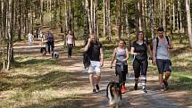 Ve Stráži pod Ralskem se konal orientační pochod se psy - Strážský dogtrek. Na trasu dlouhou 12 km se přihlásilo na dvě stovky účastníků.