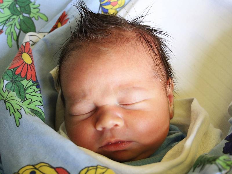 Mamince Martině Durasové z Horní Police se 19. února v 8:43 hod. narodil v děčínské nemocnici syn Vojtíšek Němec. Měřil 50 cm a vážil 3,6 kg.