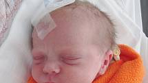 Rodičům Nikol a Bohumilovi Šárovcovým z České Lípy se v úterý 2. června v 10:20 hodin narodila dcera Klaudie Šárovcová. Vážila 3 kg.