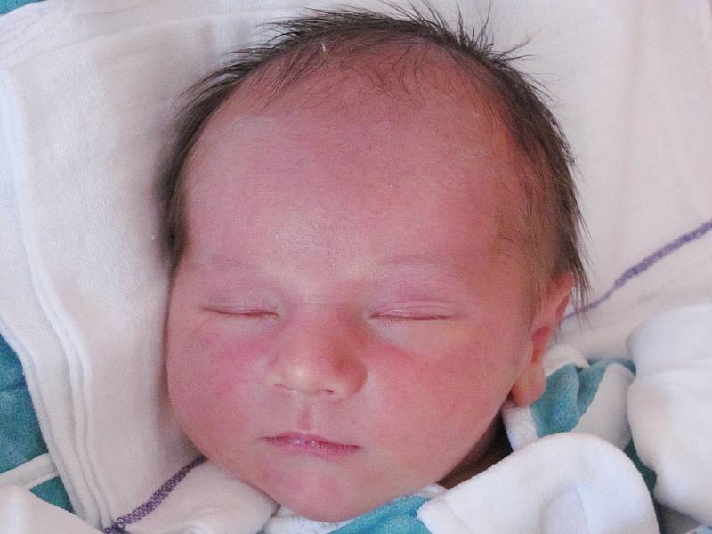 Mamince Lucii Tomáškové z Nového Boru se 3. dubna v 8:35 hod. narodil syn Petr Fojt. Měřil 51 cm a vážil 3,92 kg.