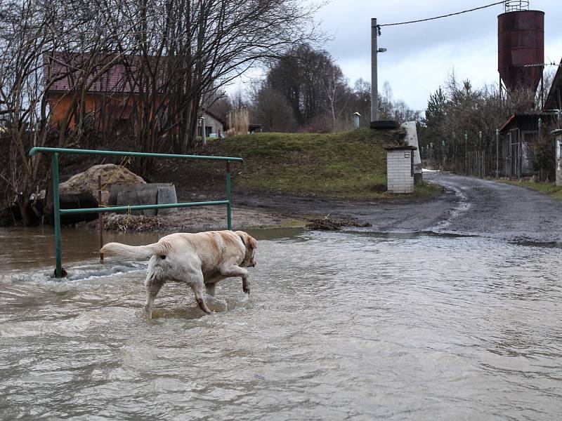 Voda už zaplavila některé zahrady a silnice v Dolní Libchavě.