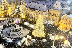 Pražský vánoční strom na Staroměstském náměstí sem dorazil z Pertoltic pod Ralskem.
