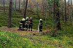 Hasiči cvičili zásah u lesního požáru v lokalitě Starých Splavů.