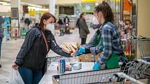 Česká Lípa supermarket Albert Farní charita sbírka potravin