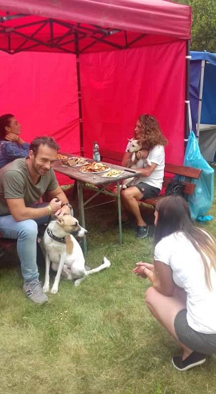 Festival podpořil útulek. Na snímku Gump - pes, který naučil lidi žít.