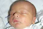Mamince Petře Bučkové z České Lípy se 26. prosince v 7:13 hodin narodil syn Tomáš Švarcbach. Měřil 52 a  vážil 3,40 kg. 