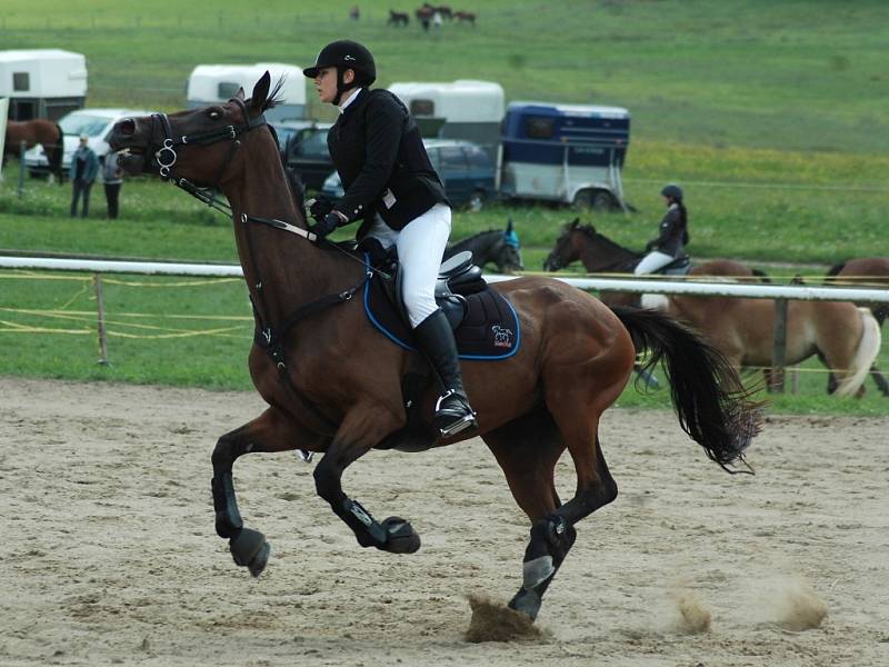 Haflinger Vrchovany 2014. Akce se konala pod malebnou zříceninou hradu Starý Bernštejn.