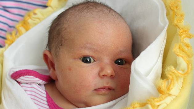Rodičům Lucii Miksové a Davidu Medunovi se ve čtvrtek 31. března v 7:56 hodin narodila dcera Eliška Medunová. Vážila 3,62 kg.