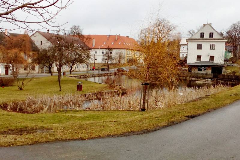 Fotohádanka z Českolipska.