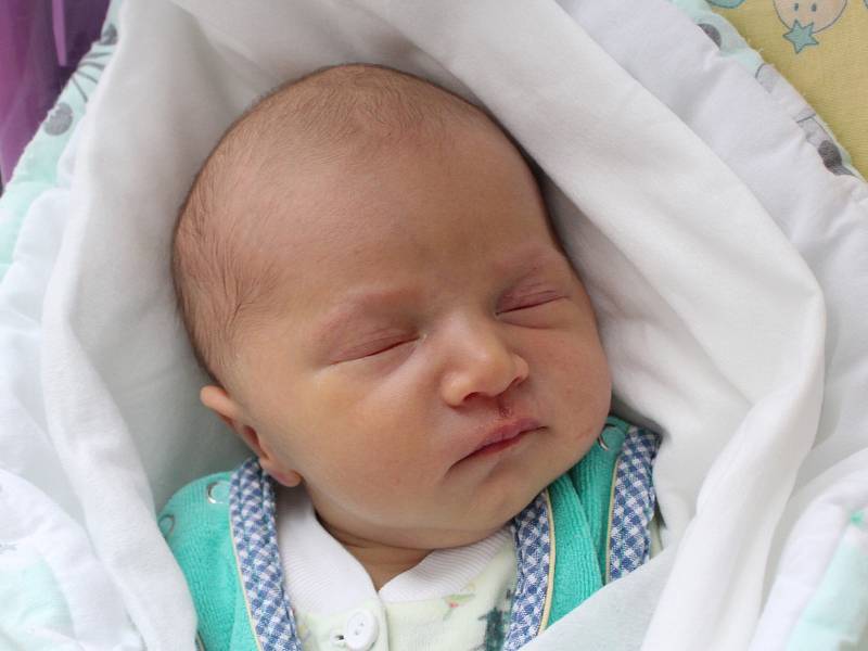 Rodičům Lucii a Martinovi Tomáškovým z Dubé se v neděli 27. ledna ve 12:32 hodin narodil syn Maxim Tomášek. Měřil 50 cm a vážil 3,07 kg.