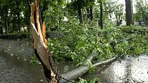 Blesková bouřka za sebou zanechala jen v České Lípě řadu popadaných stromů a převrácené kontejnery.