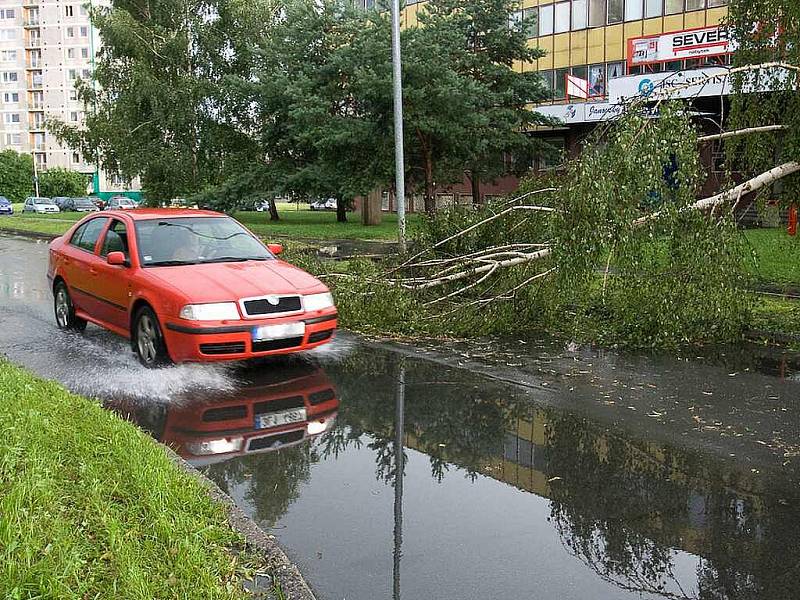 Blesková bouřka za sebou zanechala jen v České Lípě řadu popadaných stromů a převrácené kontejnery.