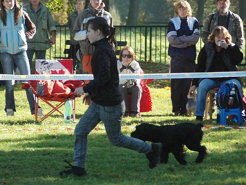 Závody v agility O pohár města Mimoň zde uspořádal místní klub OSA Mimoň.