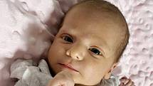 Ve čtvrtek 16. prosince v 17:05 hodin se narodila Emilia Ivanova. Měřila 49 cm a vážil 3,22 kg.