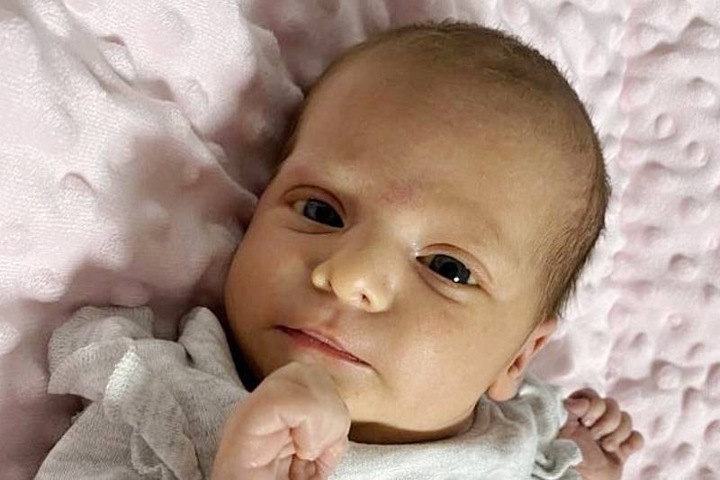 Ve čtvrtek 16. prosince v 17:05 hodin se narodila Emilia Ivanova. Měřila 49 cm a vážil 3,22 kg.