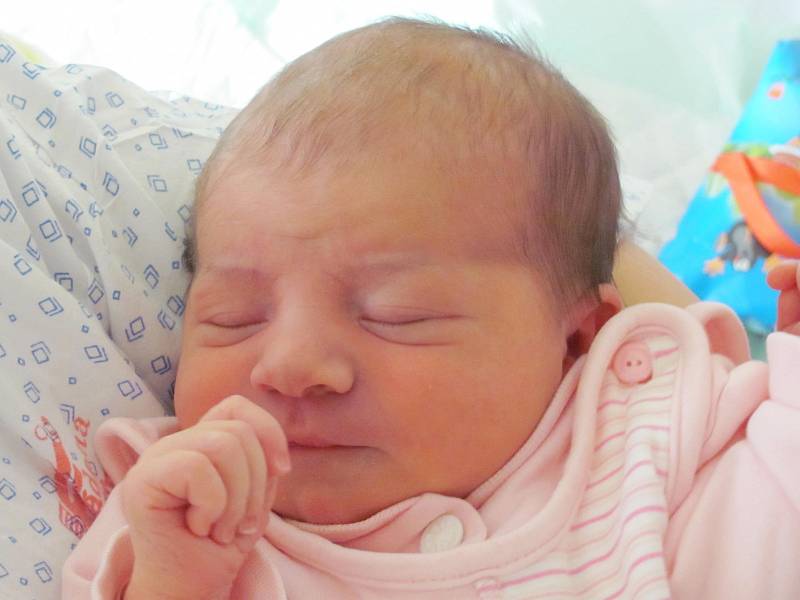 Mamince Michaele Filipi z České Lípy se 4. dubna v 0:07 hodin narodila dcera Alena Filipi. Měřila 48 cm a vážila 3,76 kg.