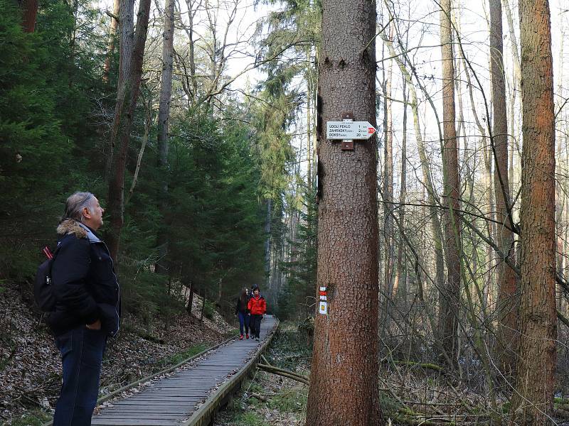 Národní přírodní památka Peklo u Zahrádek na Českolipsku je u turistů oblíbená.