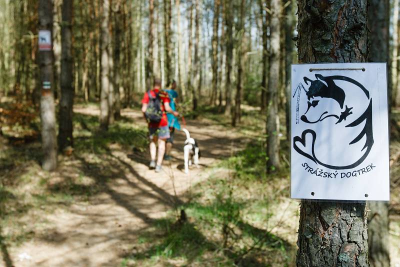 Ve Stráži pod Ralskem se konal orientační pochod se psy - Strážský dogtrek. Na trasu dlouhou 12 km se přihlásilo na dvě stovky účastníků.