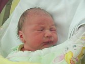 Prvním miminkem Českolipska v roce 2016 byl Marek Nechvíl z České Lípy.