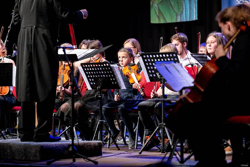 Tečku za festivalem Lípa Musica udělal společný projekt se Základní uměleckou školou Česká Lípa Má to smysl!, který se uskutečnil v pátek 19. listopadu v českolipském KD Crystal.