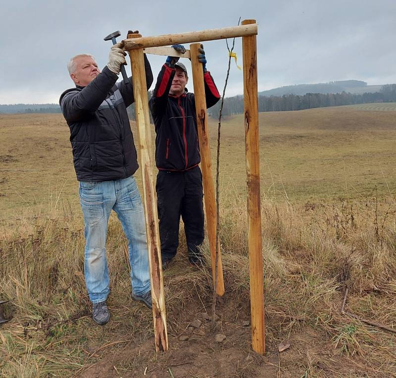 Prakticky ve stejném čase a za stejného počasí jako vloni se opět po roce pustili zaměstnanci Národního Geoparku Ralsko a více než dvě desítky dobrovolníků do výsadby dalších třiceti ovocných stromů.