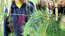 Žáci a studenti poznávali druhy dřevin, lesních plodů, bylin a živočichů.