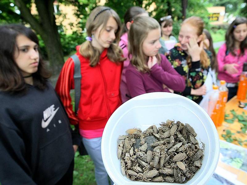 Žáci a studenti poznávali druhy dřevin, lesních plodů, bylin a živočichů.